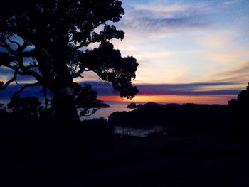 Silhouette tree against sky at sunset