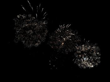 Low angle view of firework display against sky at night