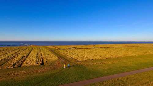 Scenic view of field against blue sky