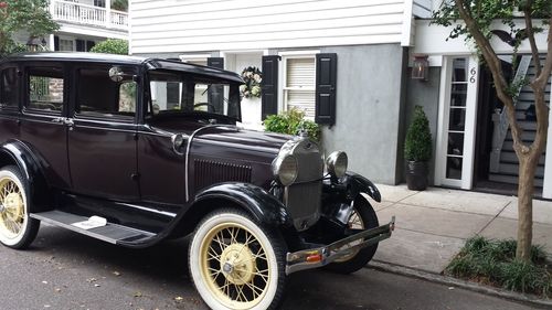 Vintage car on tree