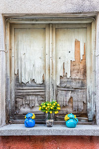 Potted plants on window of old building