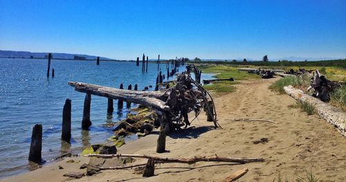 Scenic view of beach against clear blue sky