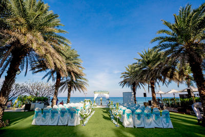 Palm trees and tables against blue sky
