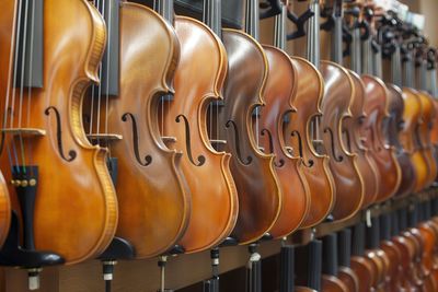 Close-up of violin