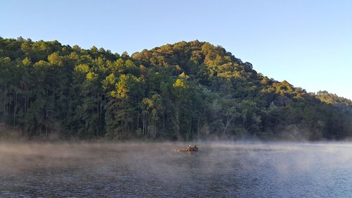 Scenic view of trees against sky