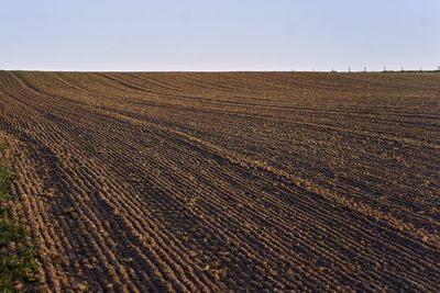 Scenic view of field against clear sky