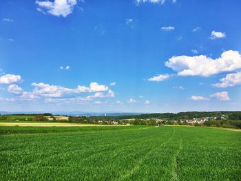 Scenic view of agricultural field against sky