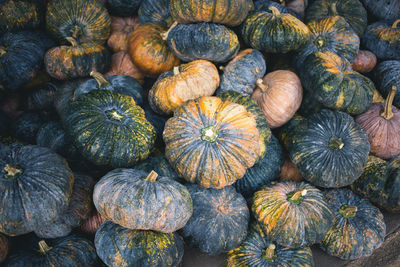 Full frame shot of pumpkins for sale at market stall