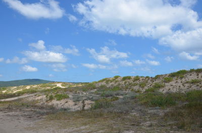 Scenic view of landscape against sky