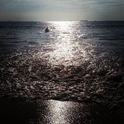 Scenic view of sea at sunset