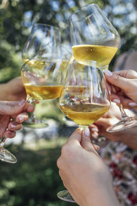 Close-up of hand holding wineglass