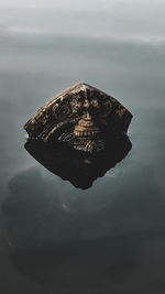 High angle view of coconut on sea against sky