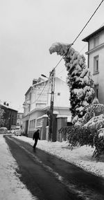 View of buildings along road