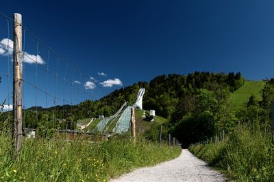 Footpath amidst trees against clear blue sky