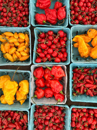 Full frame shot of hot peppers for sale in market