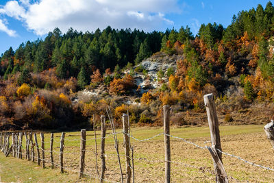 Trees on landscape against sky during autumn