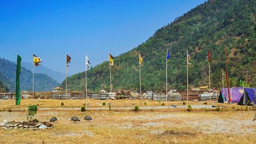 Scenic view of field against clear sky