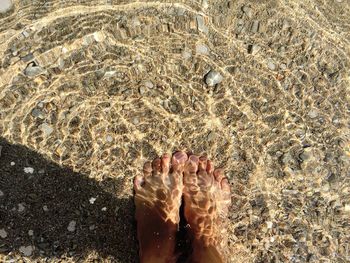 Cropped image of person standing in transparent sea