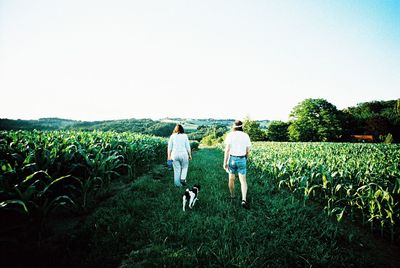 Rear view of men in field against clear sky