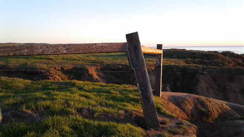 Scenic view of field against clear sky