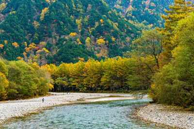 Scenic view of river in forest against sky