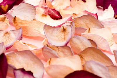 Full frame shot of fruits