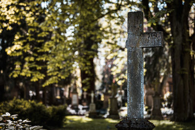 Stone cross in cemetery