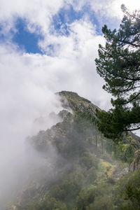 Scenic view of waterfall against sky