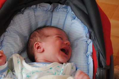 High angle view of baby boy crying while lying in stroller