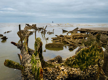 Seashell covered shipwreck leftovers from a world war 2 ship at a beach in northern france,