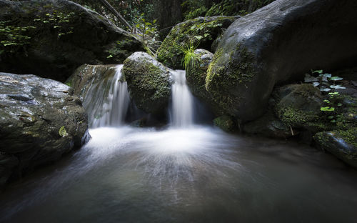 Scenic view of waterfall in forest