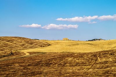 Scenic view of agricultural field against blue sky