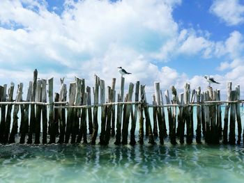 Wooden posts in sea against sky