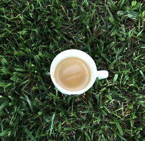 High angle view of coffee cup on grass