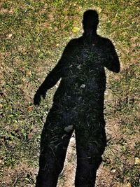 Shadow of man on field