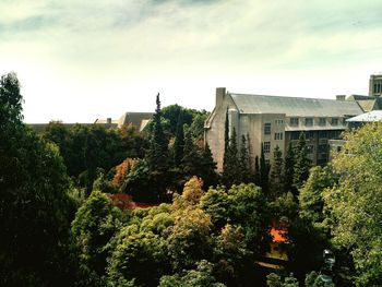 Trees with buildings in background