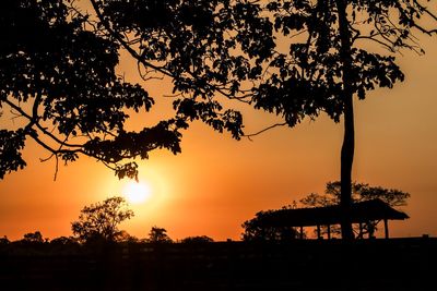 Silhouette trees against sky during sunset