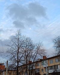 Low angle view of bare tree and buildings against sky