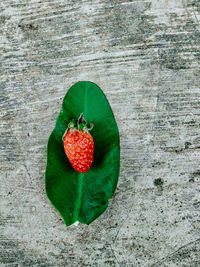 High angle view of strawberry on table