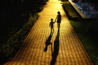 Rear view of silhouette siblings walking on footpath in park at night