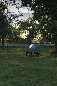 Horse cart on field against trees