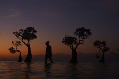 Silhouette man standing by tree against sky during sunset