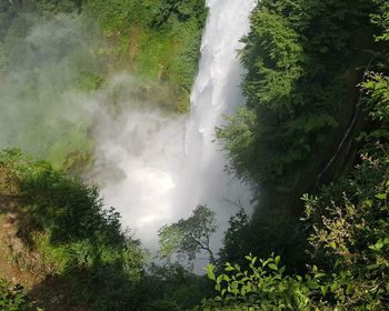 Scenic view of waterfall in forest