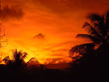 Low angle view of silhouette palm trees against orange sky