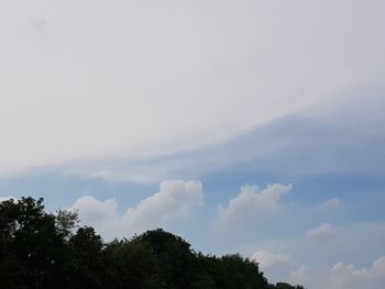 Low angle view of trees against sky