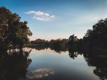 Scenic view of lake in forest against sky