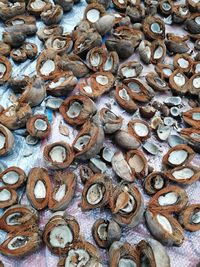 Full frame shot of shells