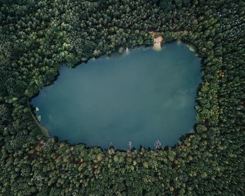 High angle view of lake amidst trees