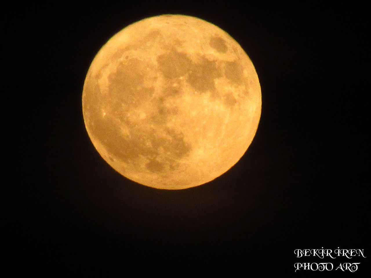 moon, full moon, nature, tranquility, night, no people, beauty in nature, clear sky, moon surface, astronomy, planetary moon, outdoors, sky, tree