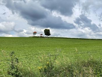 Scenic view of field against sky